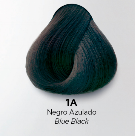 kuul 1A negro azulado