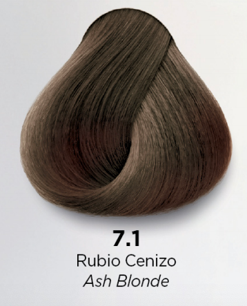 kuul 1A negro azulado