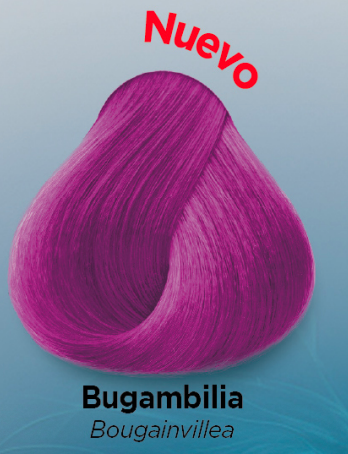 kuul 1A negro azulado